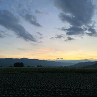 画像243