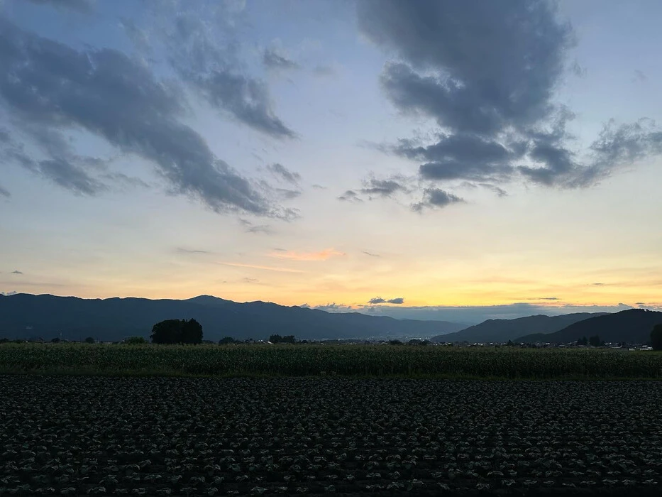 画像243