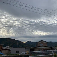 画像253