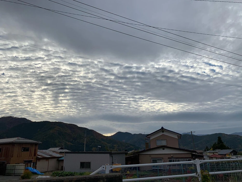 画像253